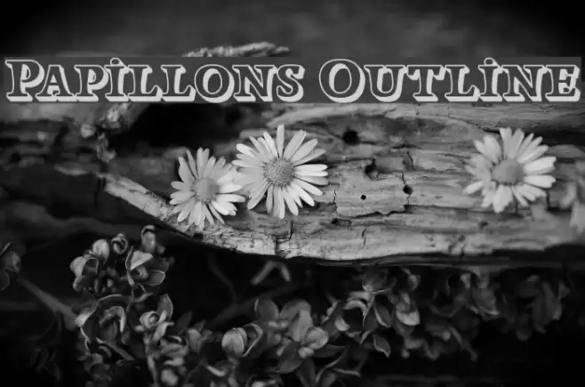 Papillons Outline Шрифта examples