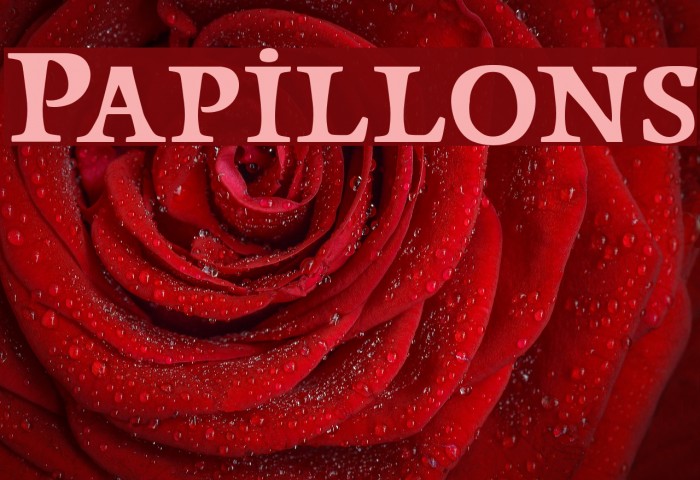 Papillons Font examples