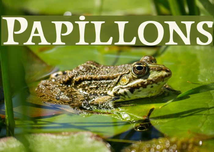 Papillons Font examples