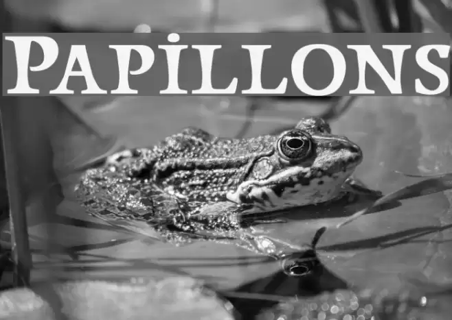 Papillons Font examples