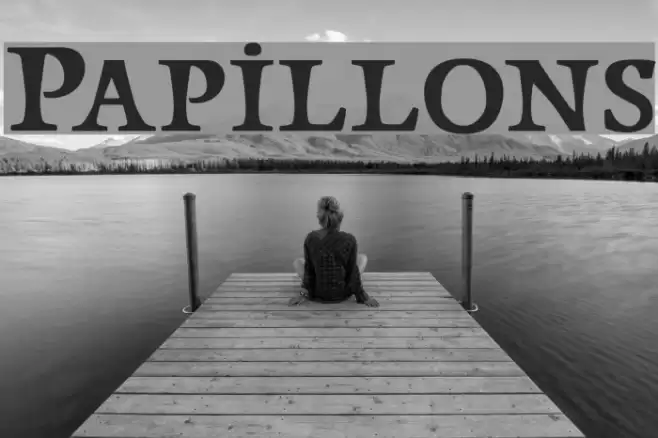 Papillons Font examples