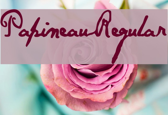 Papineau Regular Font examples