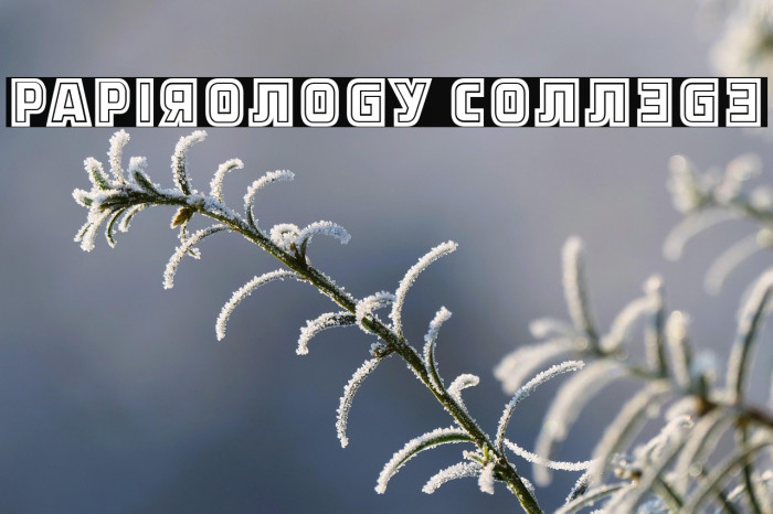 Papirology College Example 1