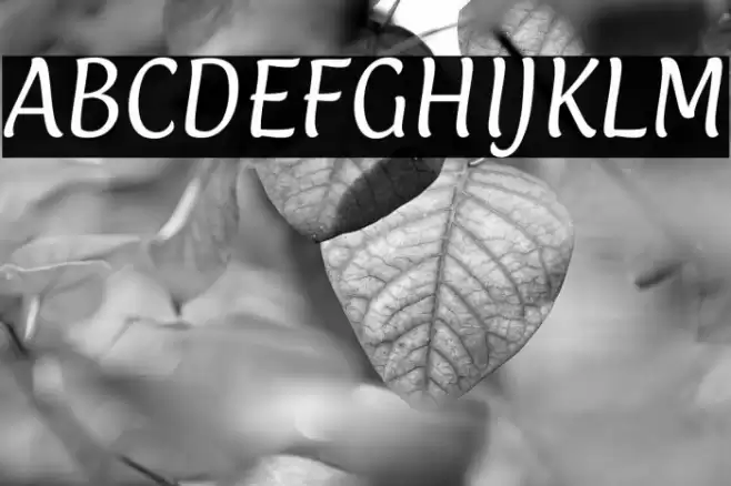 Paprika Font examples