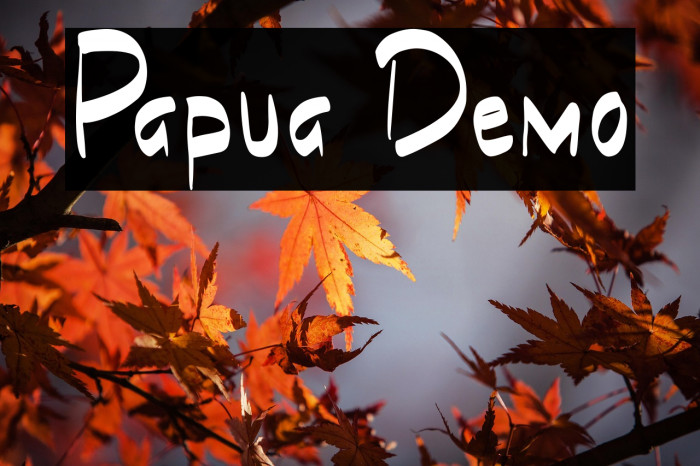 Papua Demo Example 1