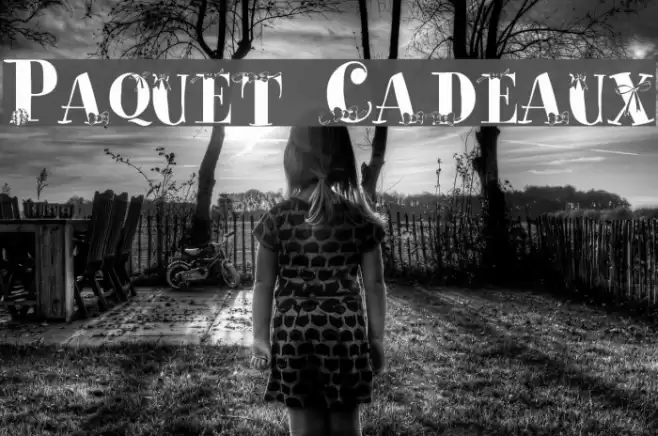 Paquet Cadeaux Font examples