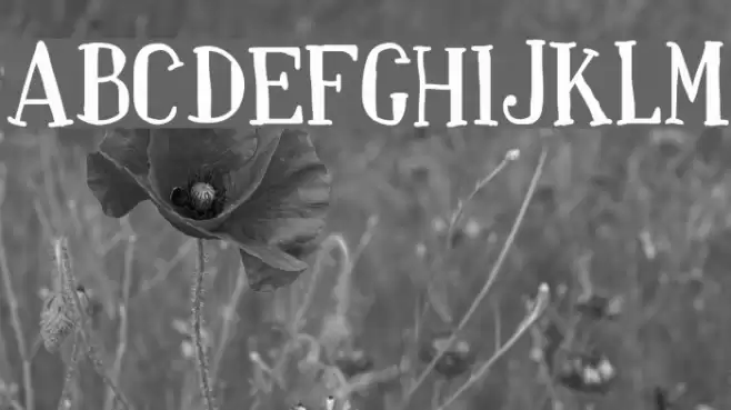 Paquita Font examples