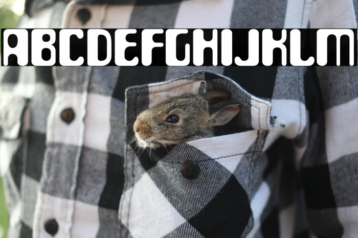 ParaAminobenzoic-Regular Example 2