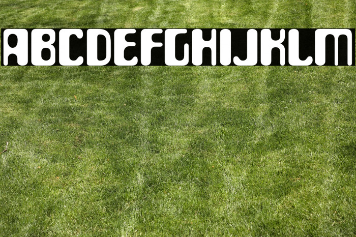 ParaAminobenzoic-Regular Example 3