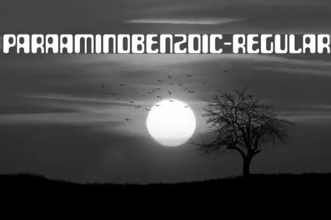 ParaAminobenzoic-Regular Font examples