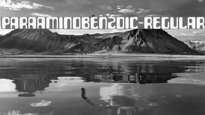 ParaAminobenzoic-Regular Font examples