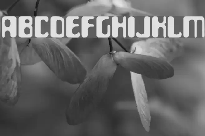 ParaAminobenzoic Font examples