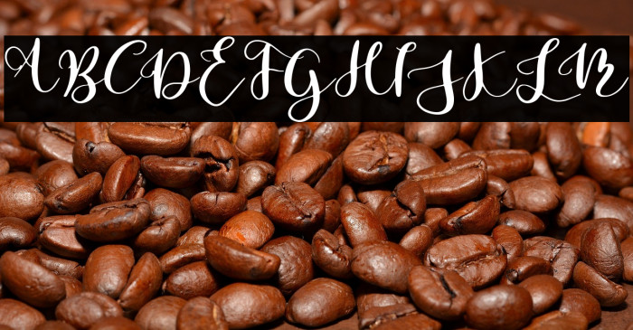 Parabellum Regular Example 2