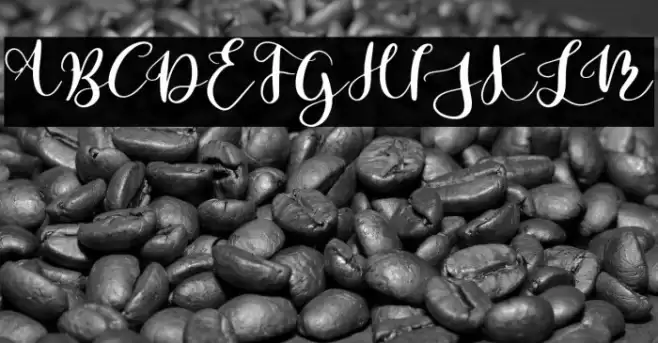 Parabellum Regular Font examples