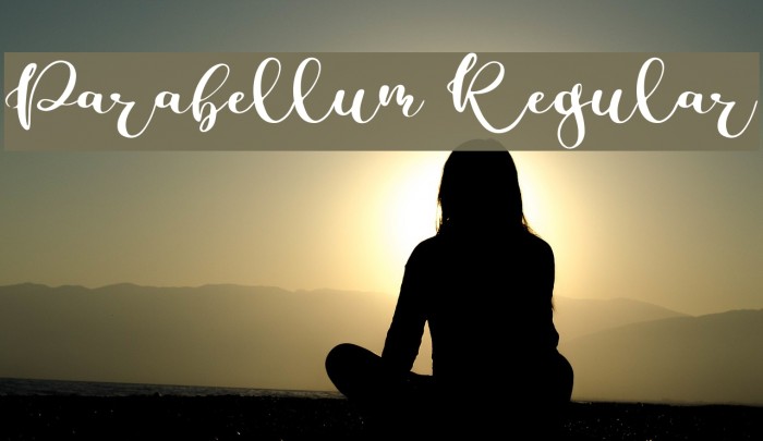 Parabellum Regular Font examples