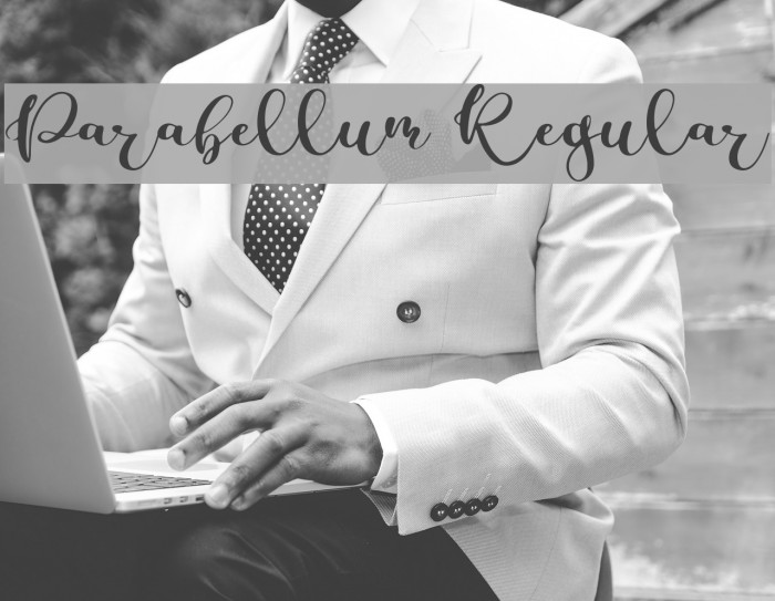 Parabellum Regular Font examples