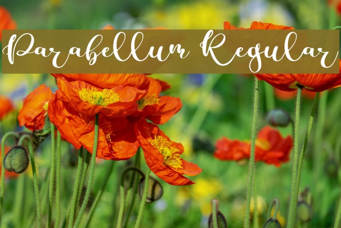Parabellum Regular Font examples