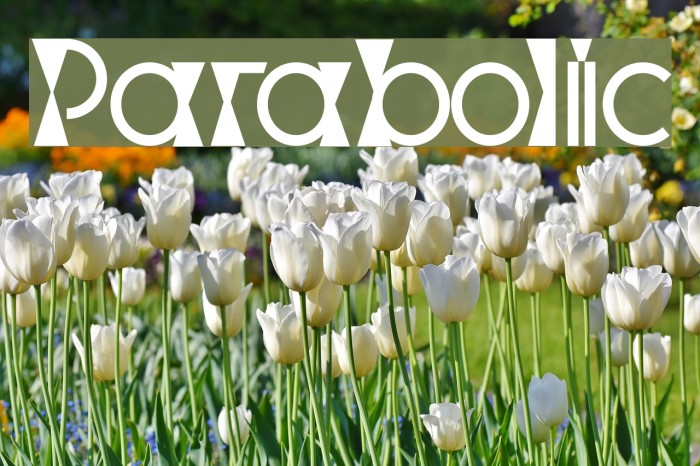 Parabolic Font examples