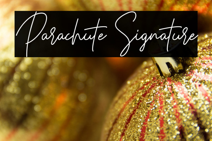 Parachute Signature Example 2