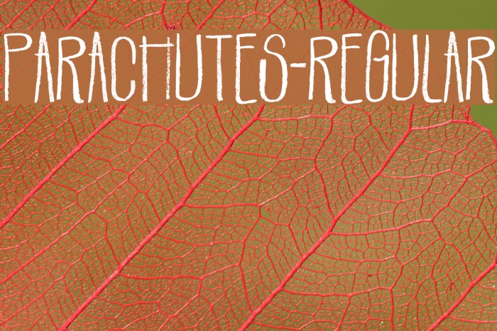 Parachutes-Regular Font examples