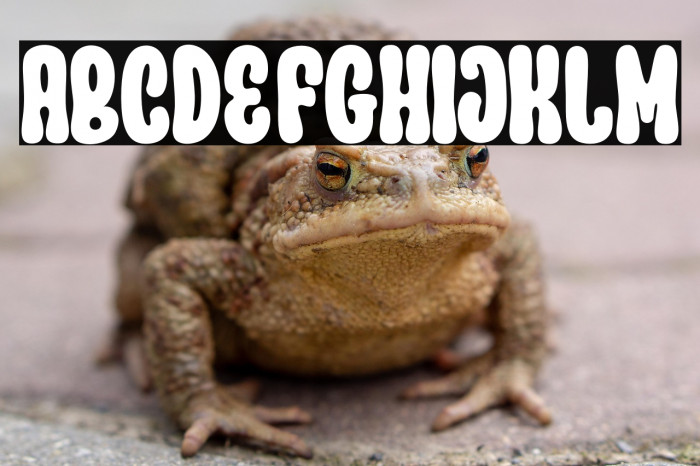 Parade Groovy Example 2