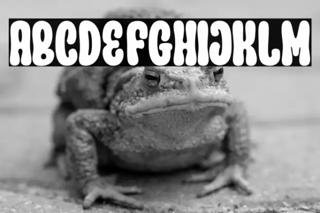 Parade Groovy Polices examples