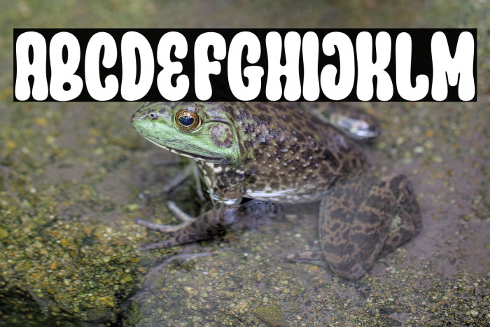 Parade Groovy Example 3