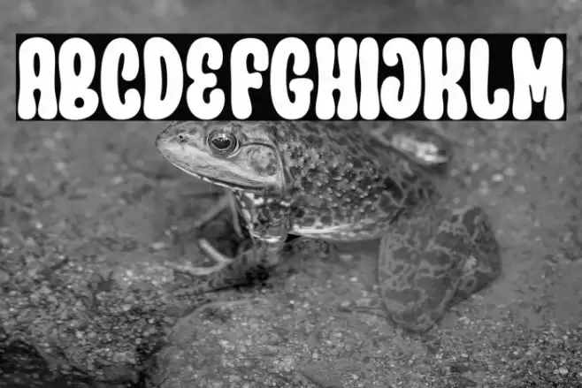 Parade Groovy Polices examples