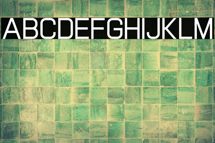 Paradigma Regular Trial Example 3