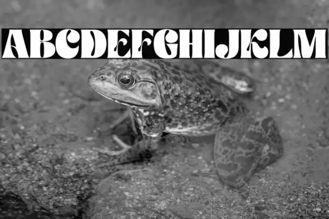 Paradise Garden Personal Use फ़ॉन्ट examples