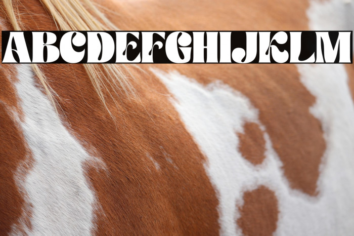 Paradise Garden Personal Use Example 3