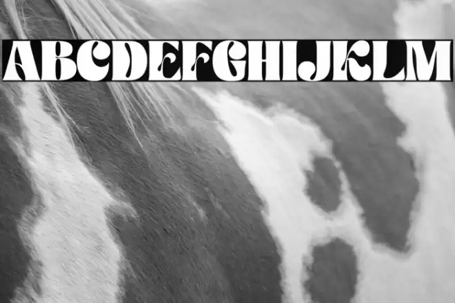 Paradise Garden Personal Use फ़ॉन्ट examples