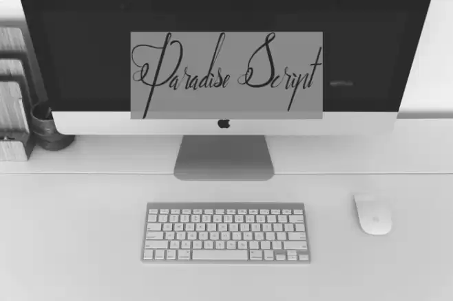 Paradise Script Font examples