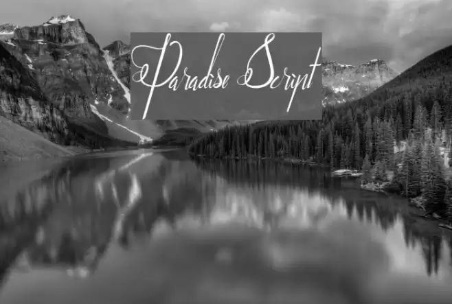 Paradise Script Font examples
