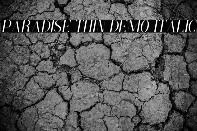 Paradise Thin Demo Italic Font examples