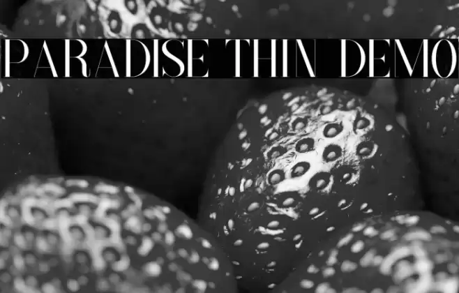 Paradise Thin Demo Font examples