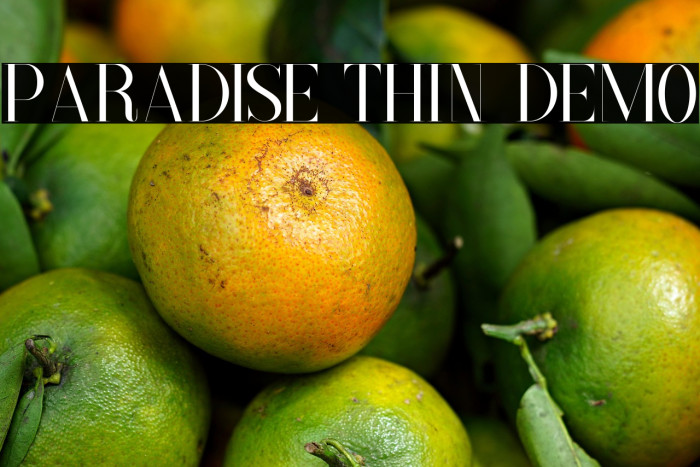 Paradise Thin Demo Example 2
