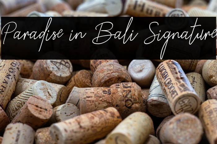 Paradise in Bali Signature Example 1