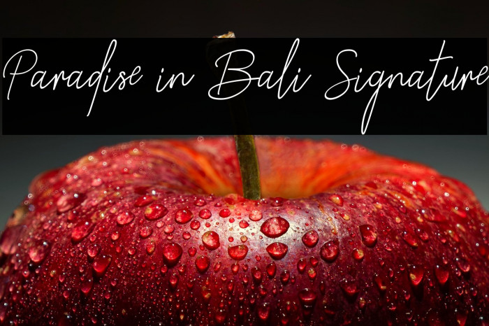 Paradise in Bali Signature Example 2