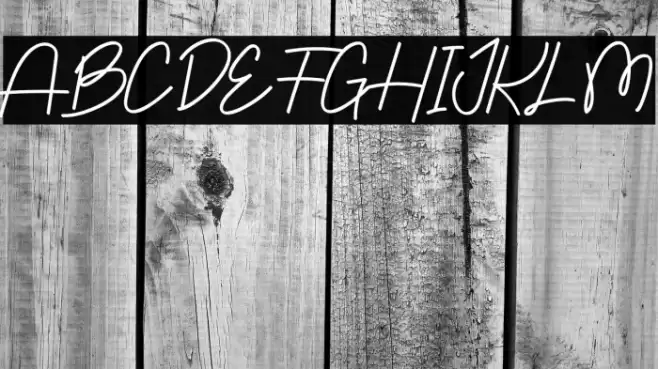 Paradise Font examples