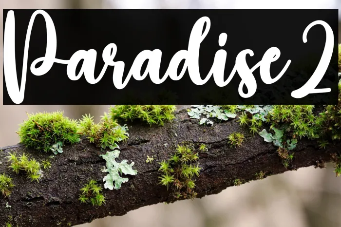 Paradise2 Example 2