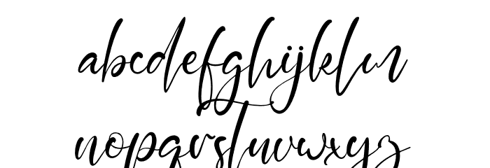 ParadiseScript Font LOWERCASE