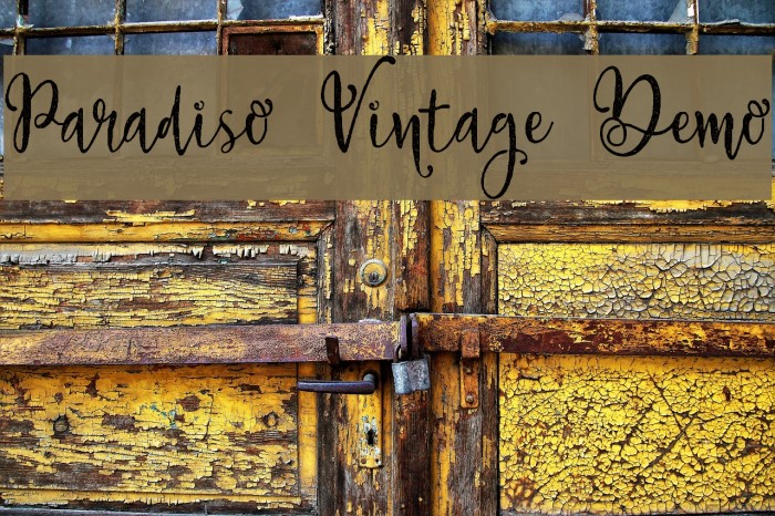Paradiso Vintage Demo Font examples