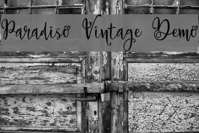 Paradiso Vintage Demo Font examples