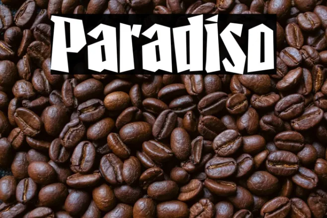 Paradiso Example 1