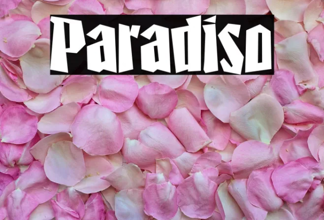 Paradiso Example 3