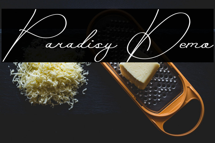 Paradisy Demo Example 1