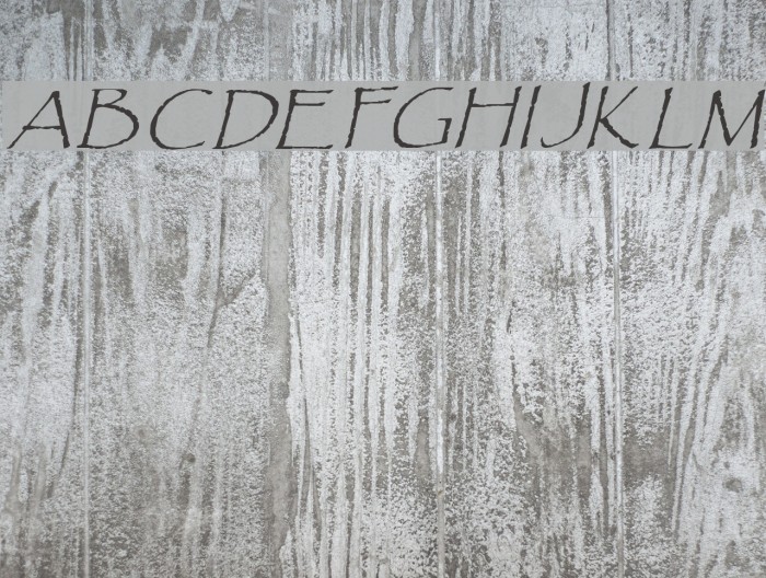 Paradox Italic Font examples