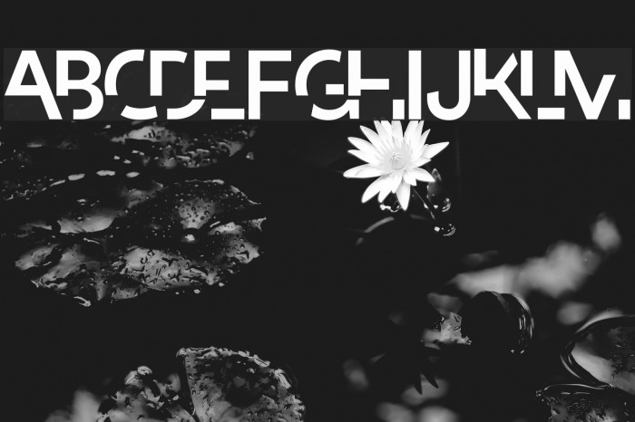 Paradox Schriftart examples