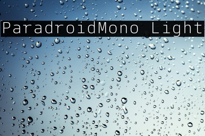 ParadroidMono Light Font examples